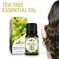 organic pure esensial oil tea tree essential oil